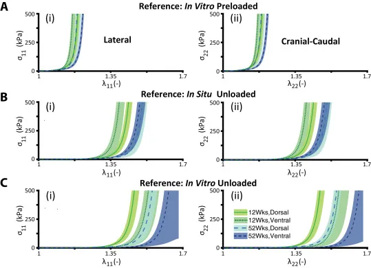 Constitutive model predictions for young and aged mouse skin under biaxial loading