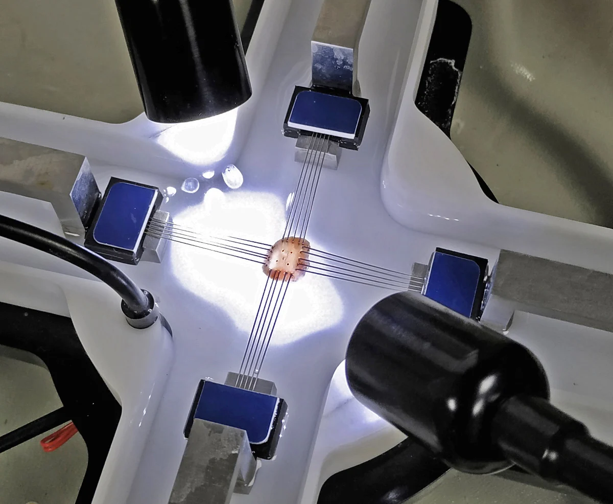A BioTester being used from mitral valve biomechanics testing
