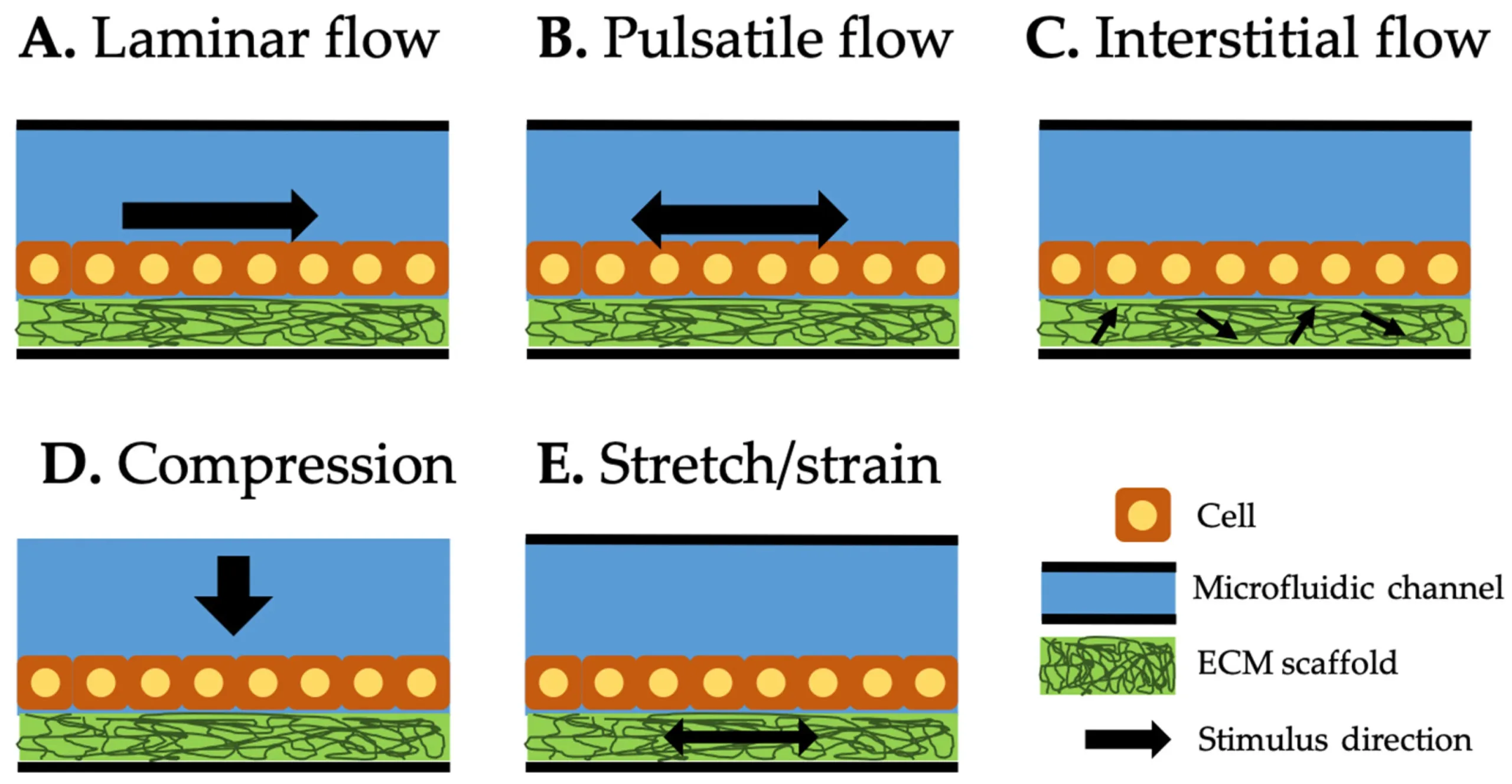 Overview of organ-on-a-chip mechanical stimulation methods