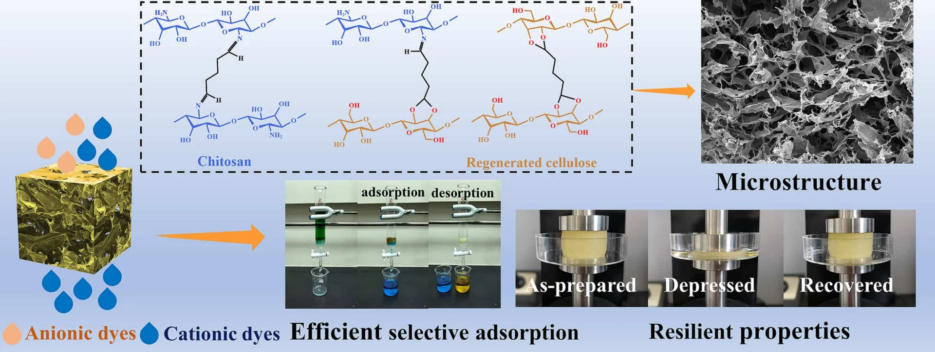 Study figure breakdown about chitosan zeolite aerogels