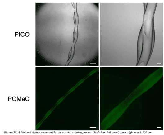 Depiction of 3D printed microtubes