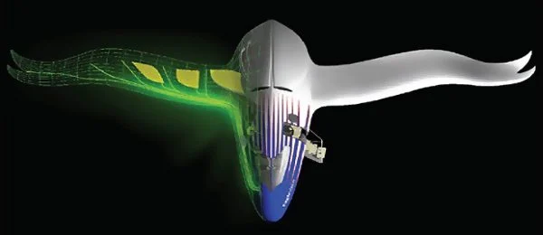 A depiction of morphing wing skin materials