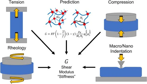 An overview of a study design on hydrogel stiffness measurement using the UniVert