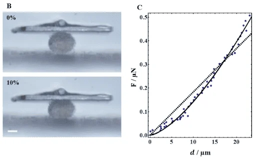 Micro Testing Irregularly Shaped Cell Clusters