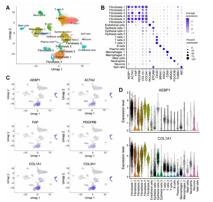UMAP plots and expression profiles from the publication illustrating co-expression of AEBP1 and collagen genes in cancer-associated fibroblast populations in pancreatic cancer.
