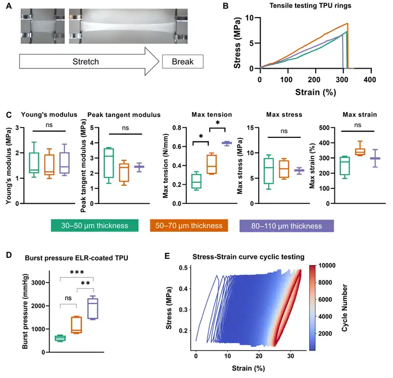 Mechanical testing results of electrospun TPU scaffolds for a miniaturized heart valve, including tensile stress–strain curves, burst pressure measurements, and cyclic loading behaviour at different material thicknesses.
