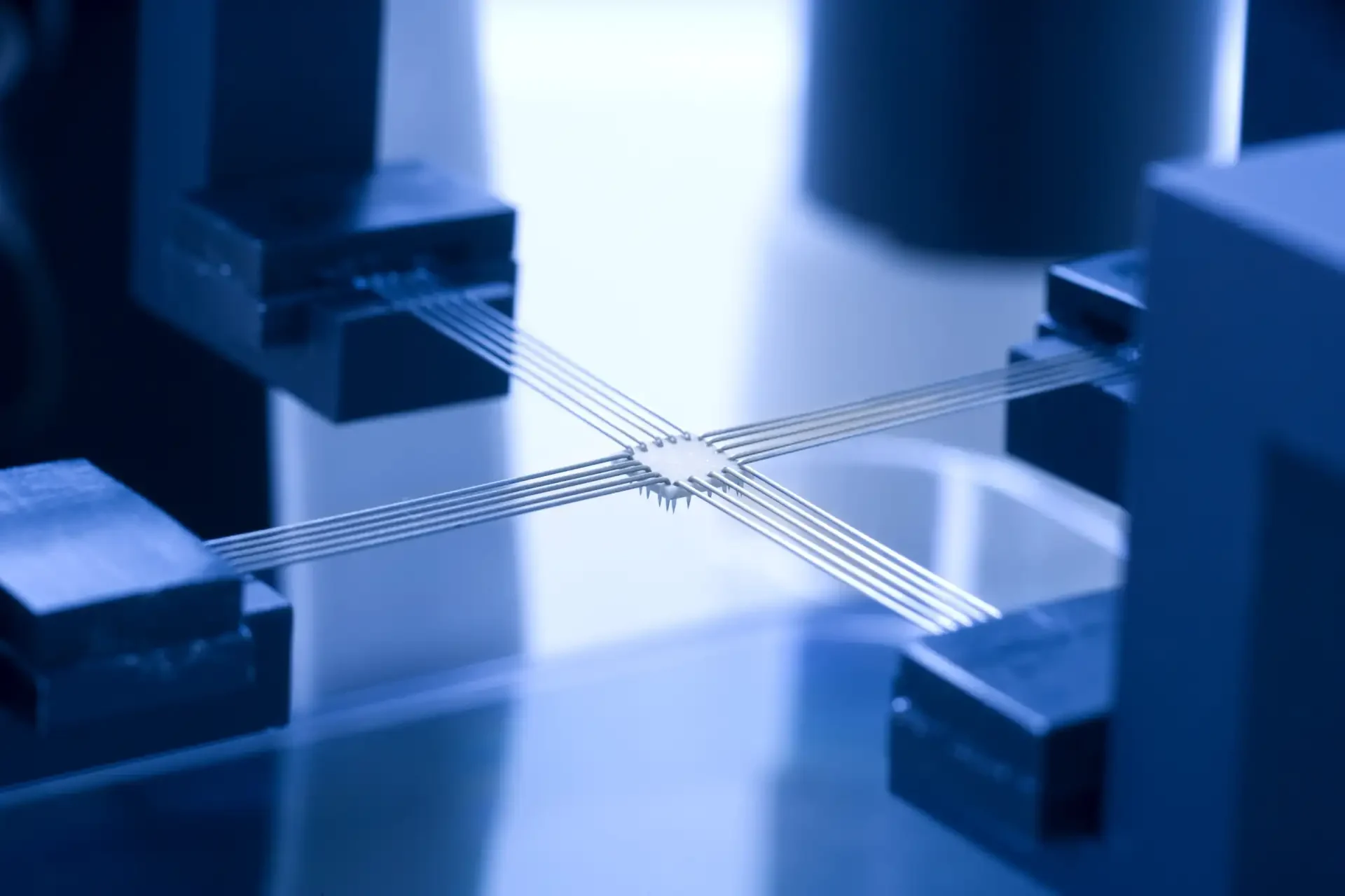 A closeup of a specimen being biaxially tested for soft tissue biomechanics research