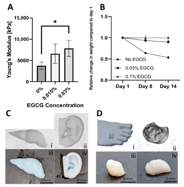 Mechanical properties and personalized bioprinting of psECM-based skin grafts showing Young’s modulus under compression, construct stability over time, and patient-specific wound geometry printing.