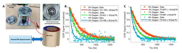 Electron spin resonance oxygen sensing of embedded oxygen microsensors inside a 3D printed psECM skin graft at different sensor depths.