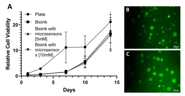 Cytocompatibility of psECM grafts with embedded oxygen microsensors showing relative cell viability over time and live/dead staining images.