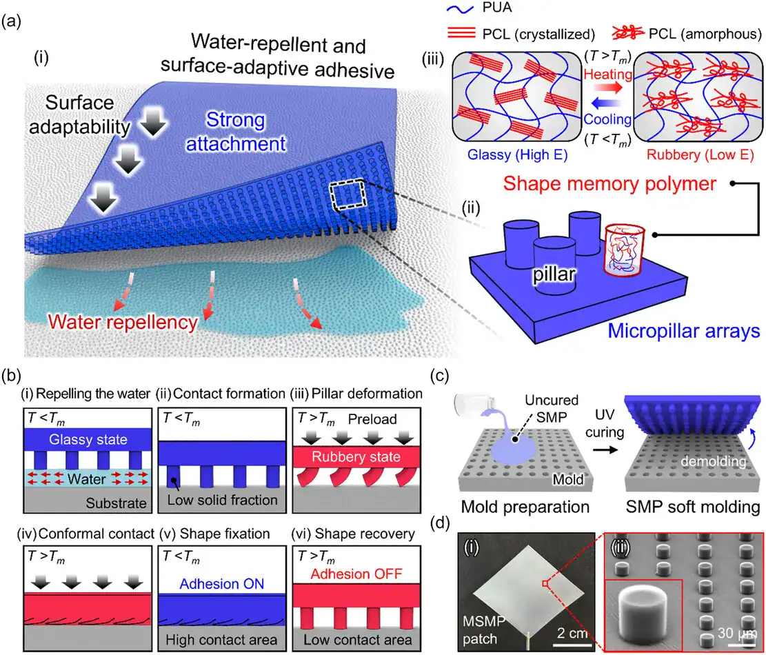 Concept schematic showing a microstructured shape memory polymer adhesive patch with micropillar arrays that repel water, form a dry interface underwater, and switch adhesion by heating and cooling.
