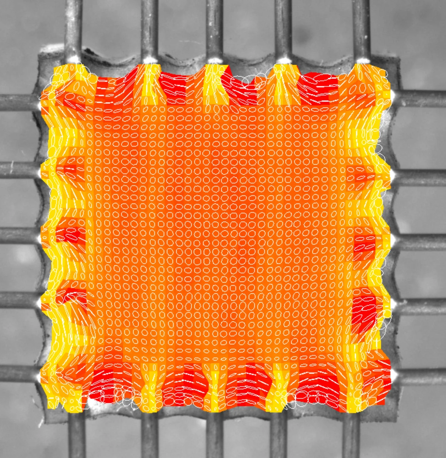A deformation example on a specimen with digital image correlation