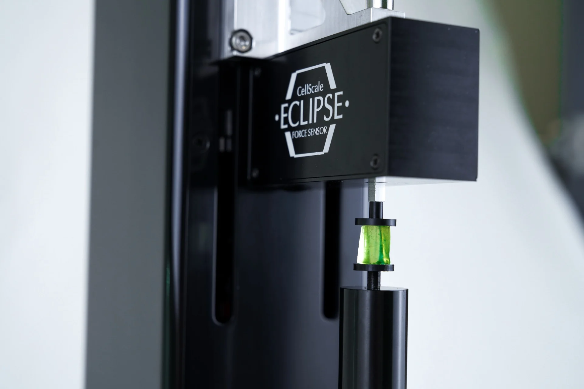 Up close view of the Eclipse force sensor with a green gel-like sample being compressed for ultra low force mechanical testing