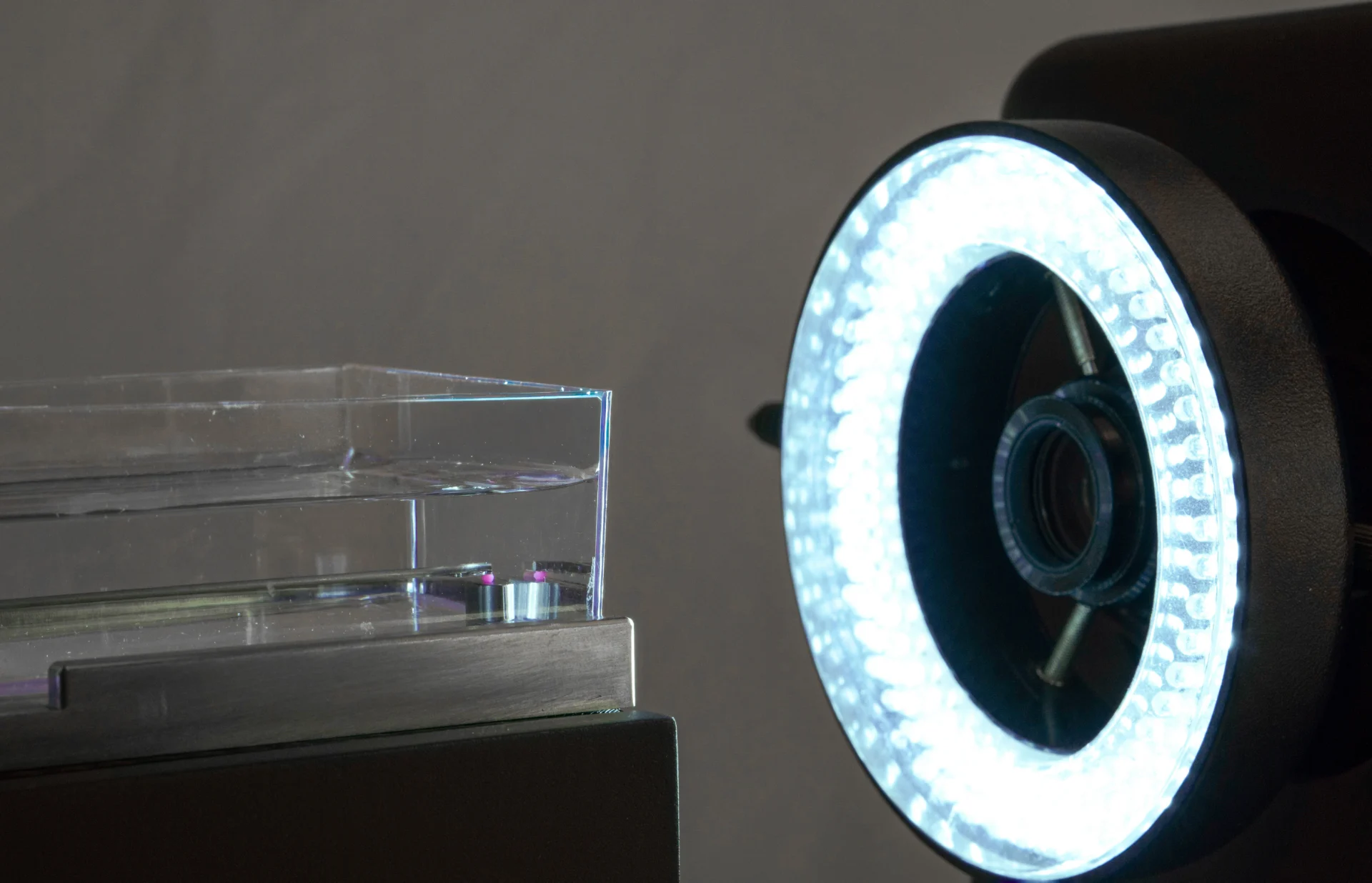 A close up of a specimen being compressed in water with the MicroTester, with the ring light prominently in view