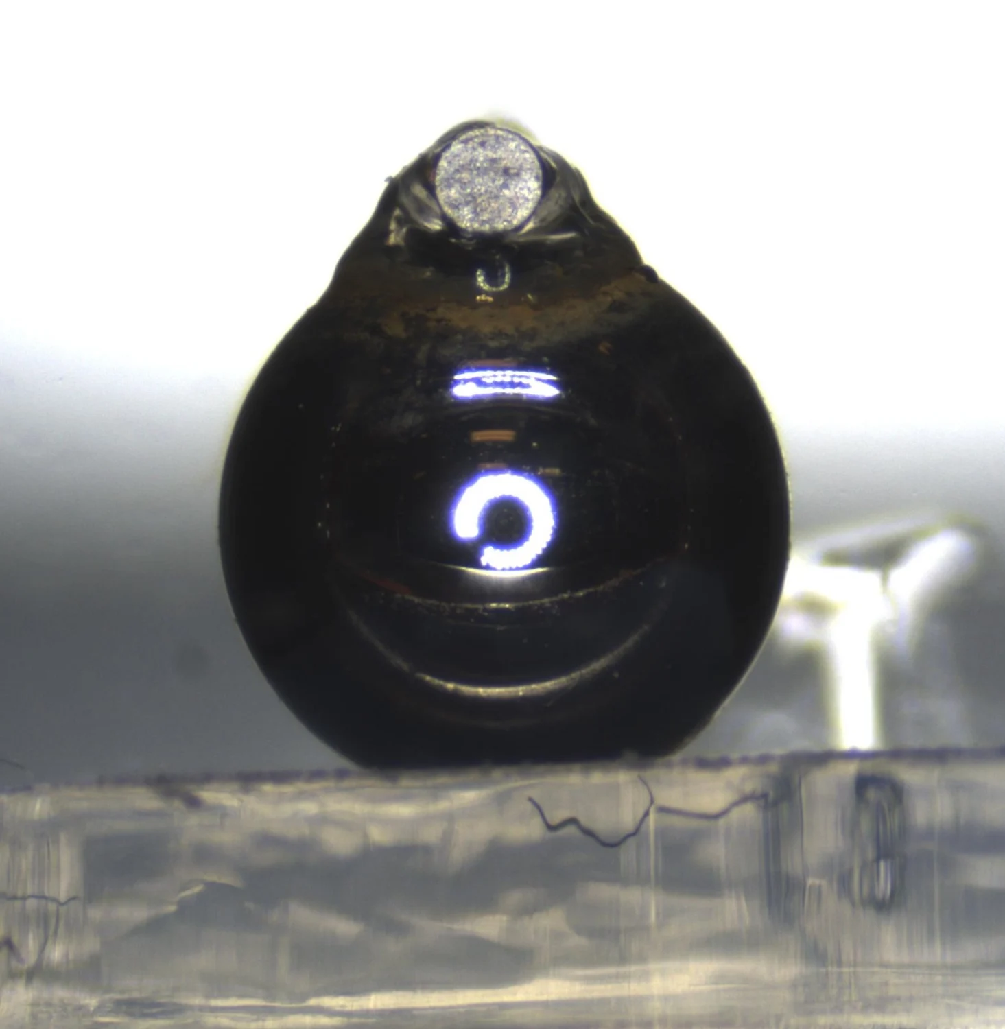 A gel layer under spherical indentation on the MicroTester micro-mechanical testing system