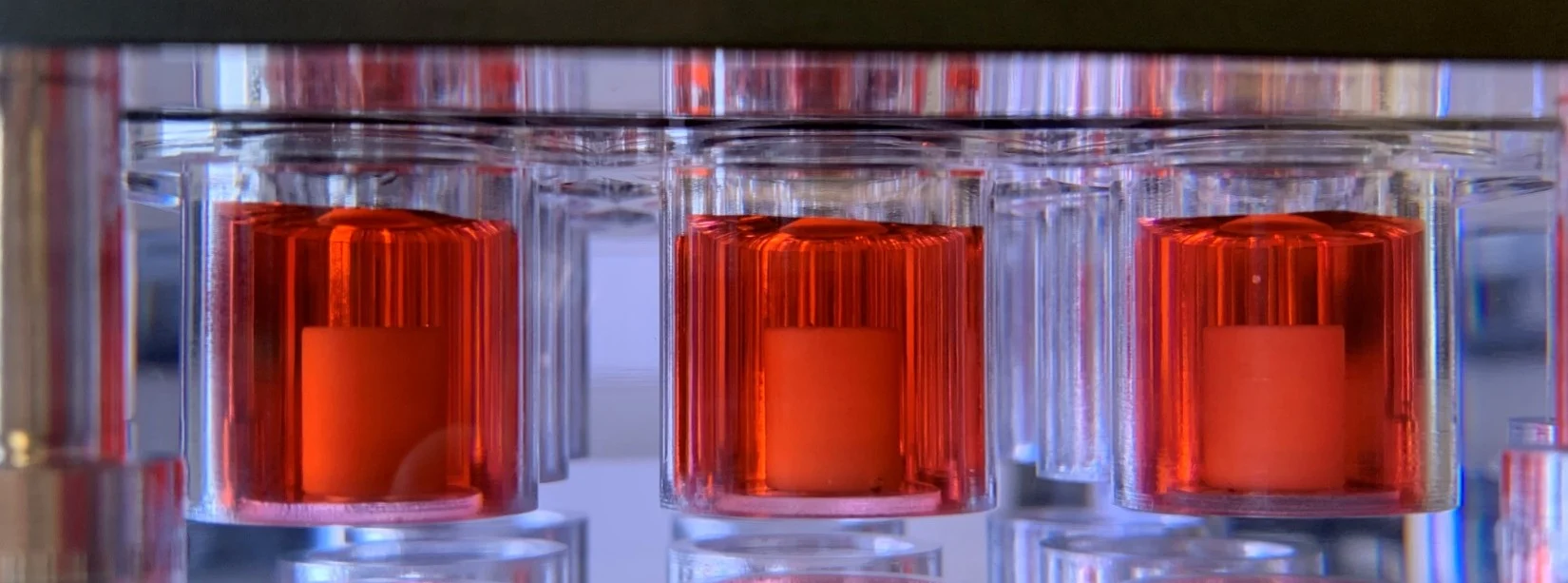 The MCTR wells closeup with sample and media