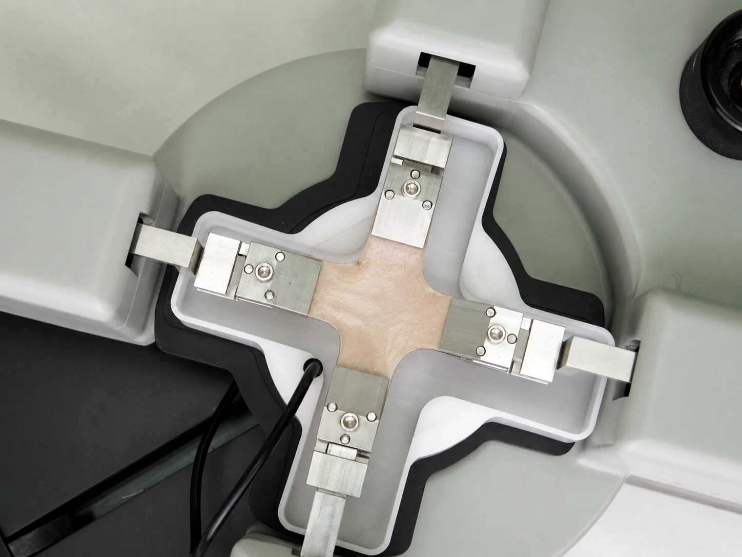 A cartilage/meniscus sample being biaxially stretched on the BioTester with clamps for cartilage tissue engineering