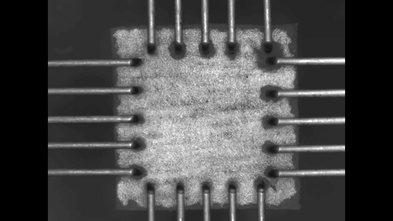 BioTester Tensile Testing