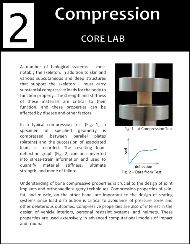 The first page of the Compression Testing module for the UniVert Classroom Kit