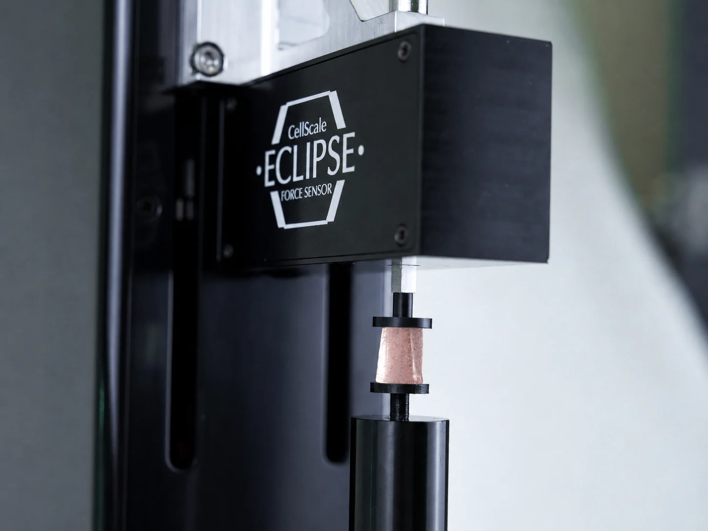 Cell laden hydrogels sample being compressed with the Eclipse Low Force Sensor on the UniVert
