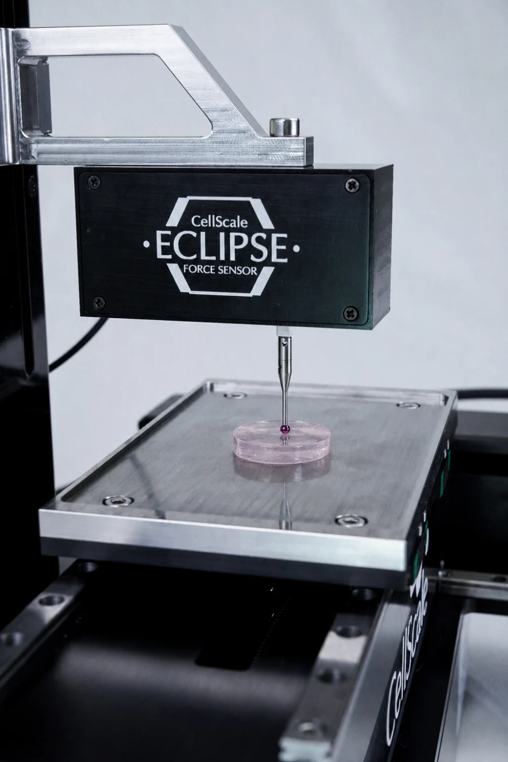A hydrogel disk being indentation tested on the UniVert XY Stage with the Eclipse Low Force Sensor