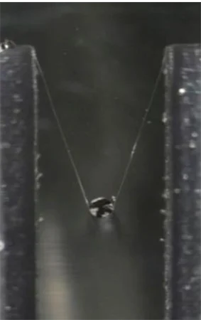 A thin fibre film under tensile testing on the MicroTester
