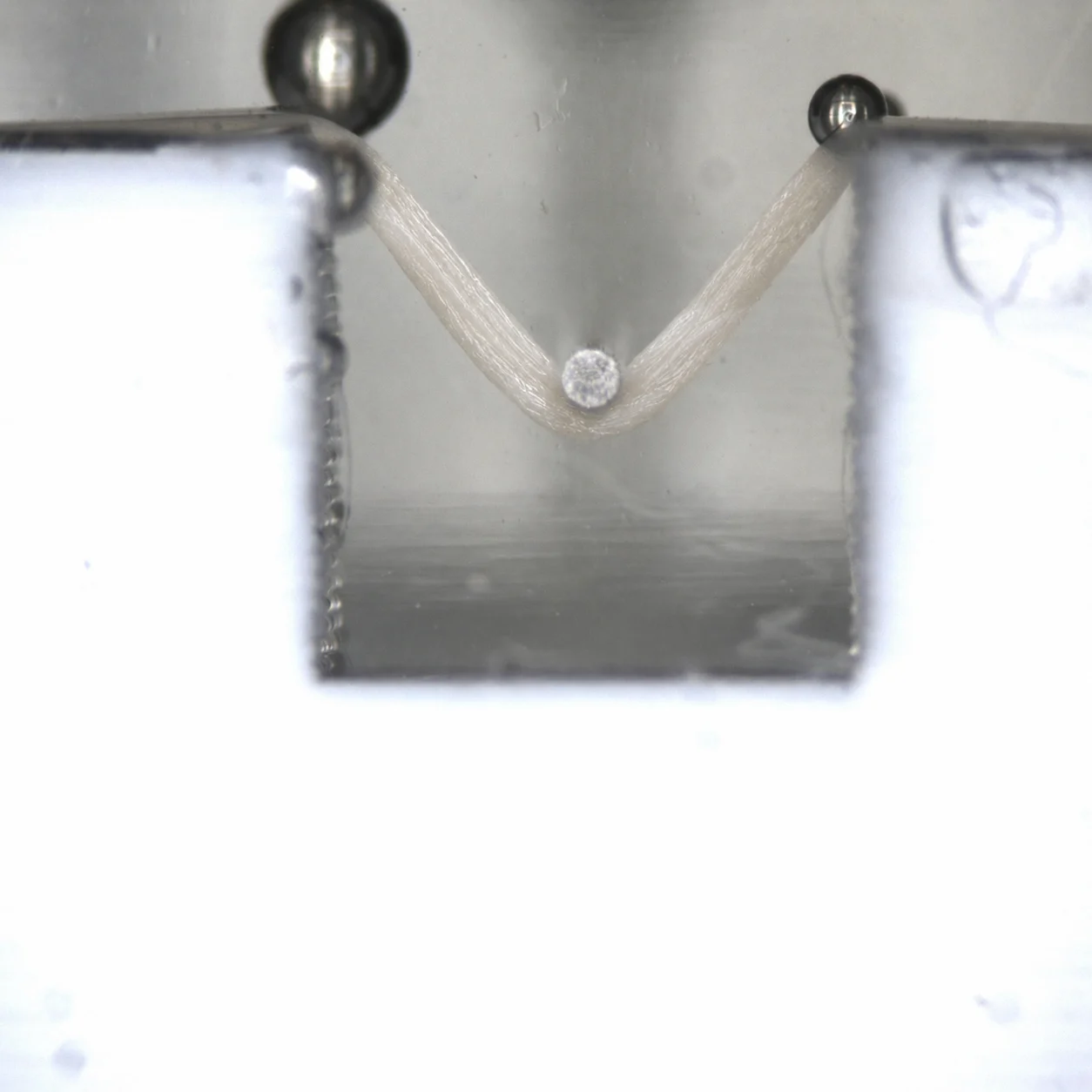 A ligament fibre being 3-point tensile tested on the MicroTester for tendon tissue engineering research