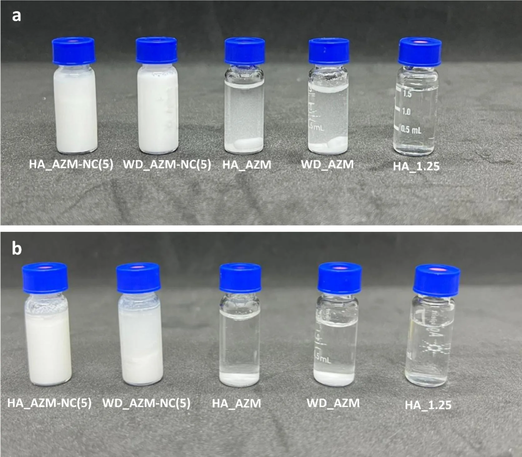 Vials of acetazolamide eye drop formulations shown immediately after preparation and after 24 hours, comparing hyaluronic acid nanocomposite hydrogel, nanocrystal water dispersion, raw drug hydrogel, raw drug water dispersion, and hyaluronic acid hydrogel.