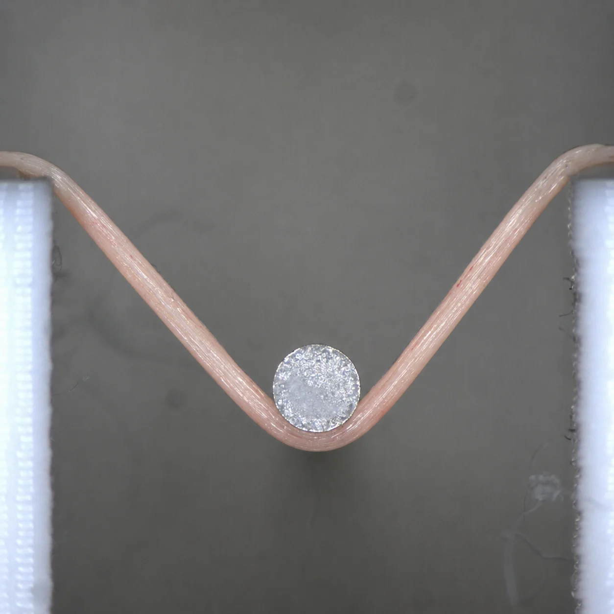 A nerve fibre being tensile tested on the MicroTester for peripheral nerve mechanics research