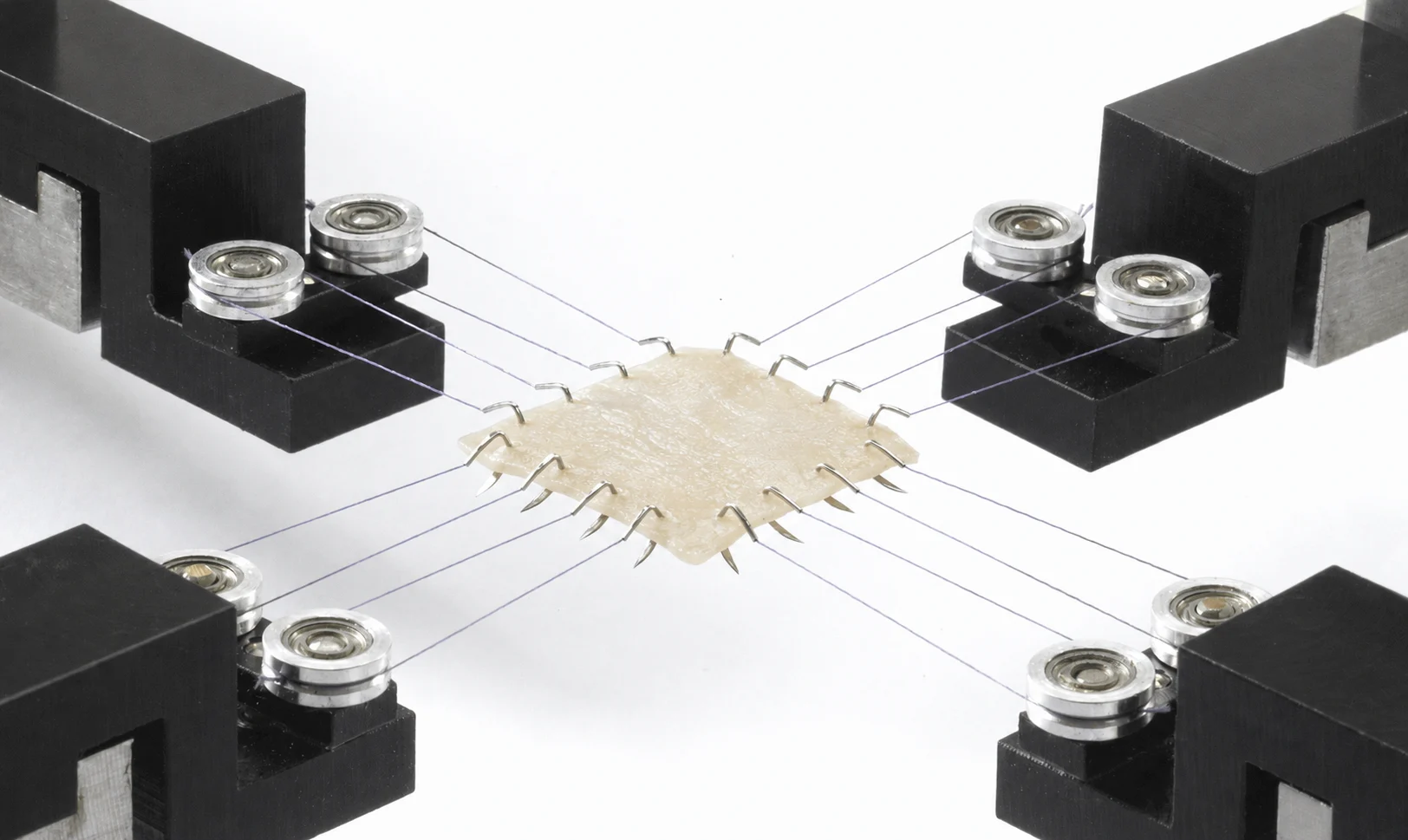 A pericardial patch being biaxially tested with pulley and suture fixtures on the BioTester for heart valve tissue engineering research