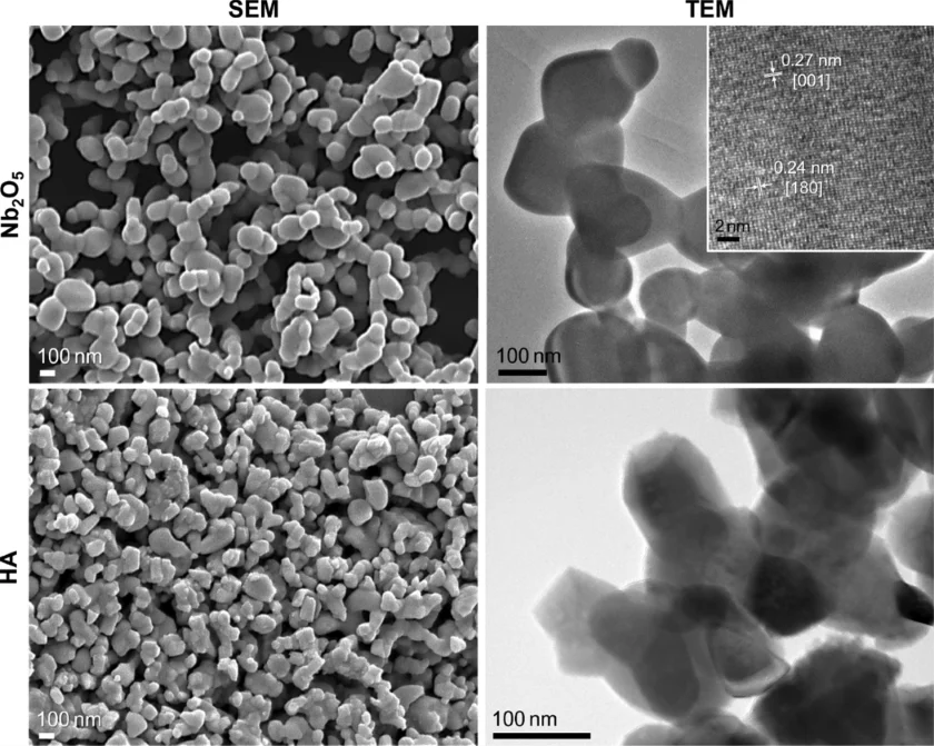 SEM and TEM images of niobium pentoxide and hydroxyapatite particles used in electrospun bone scaffolds