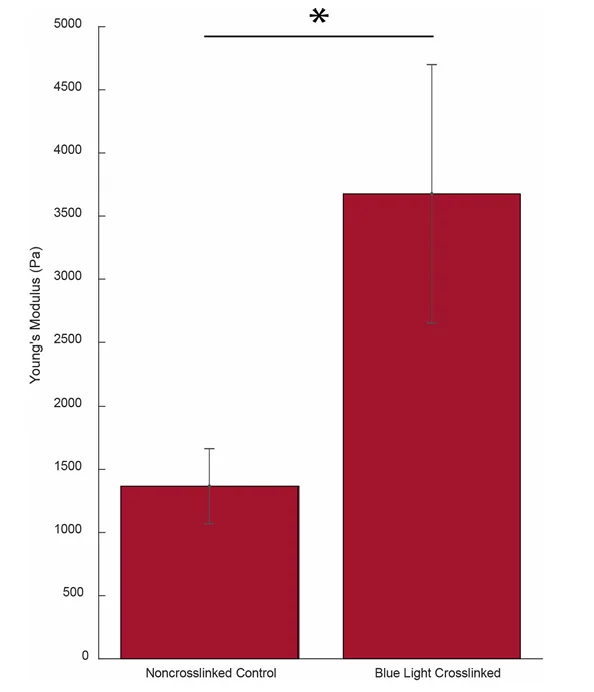 Bar graph comparing the elasticity, found via MicroTester compression, of control corneal punches and crosslinked punches. Error bars represent SEM for each condition (* = p < 0.05).