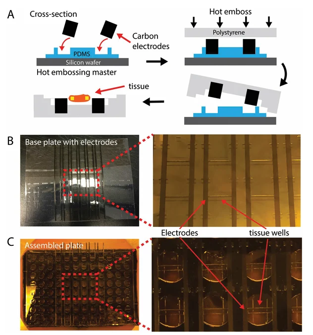 Figure 2 from the publication that resulted from our high throughput micro mechanical testing work at U of T