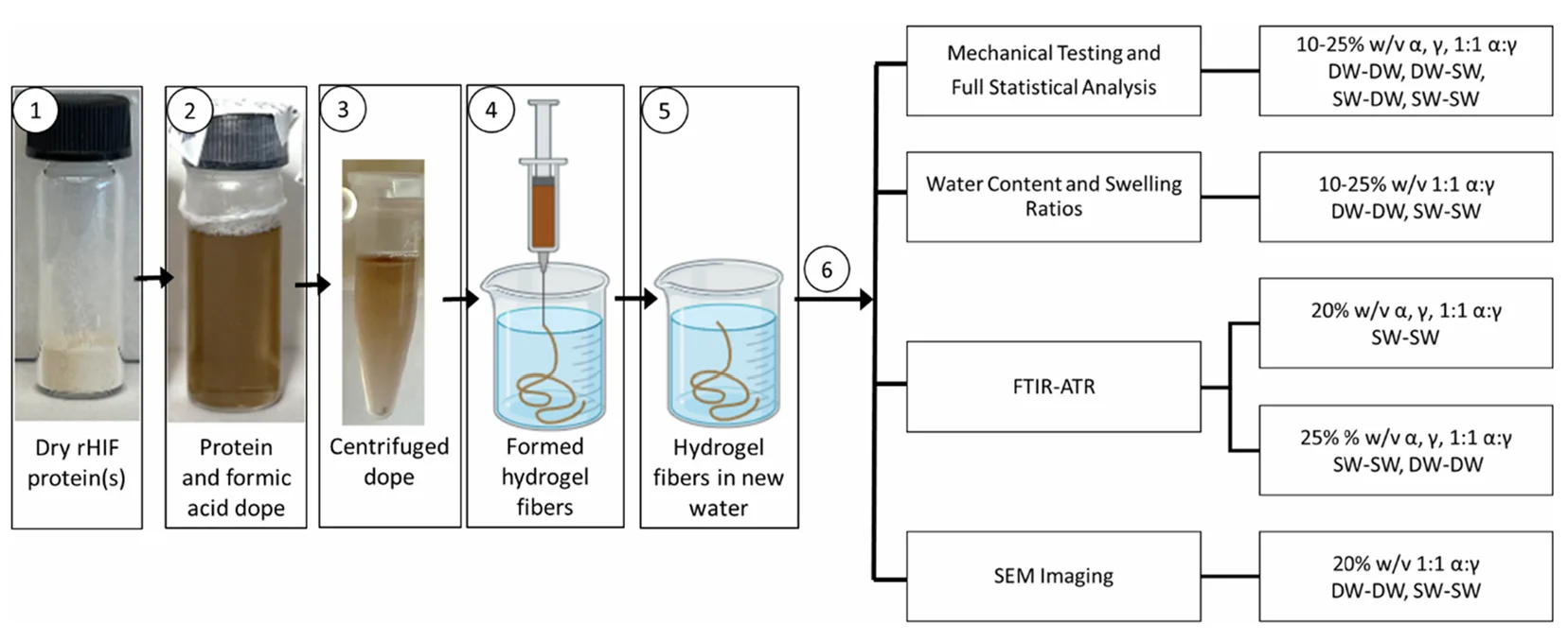 Experimental workflow showing dry recombinant hagfish intermediate filament proteins dissolved into a formic acid dope, centrifuged, extruded into water to form hydrogel fibres, transferred to fresh water, and characterized by mechanical testing, swelling analysis, FTIR-ATR, and SEM imaging.