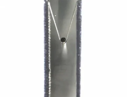 Hydrogel fiber mechanical testing setup showing a thin hydrated fibre suspended across two supports while a small MicroTester beam presses downward in the centre, before and after.