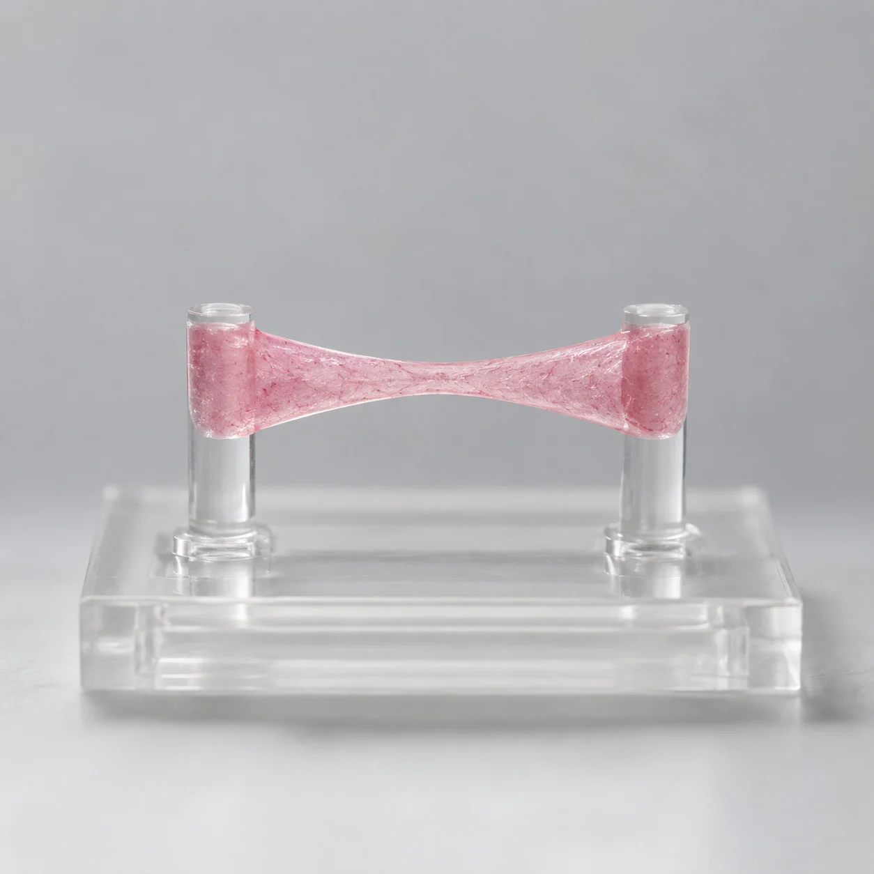 A contractile microtissue anchored between posts for microtissue mechanical testing
