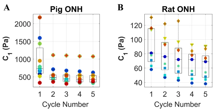 C1 values for pig and rat optic nerve head samples subjected to cyclic unconfined compression at a 5%/minute strain rate.
