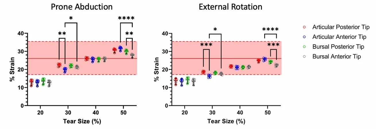 Graphs showing maximum strains at tear tips