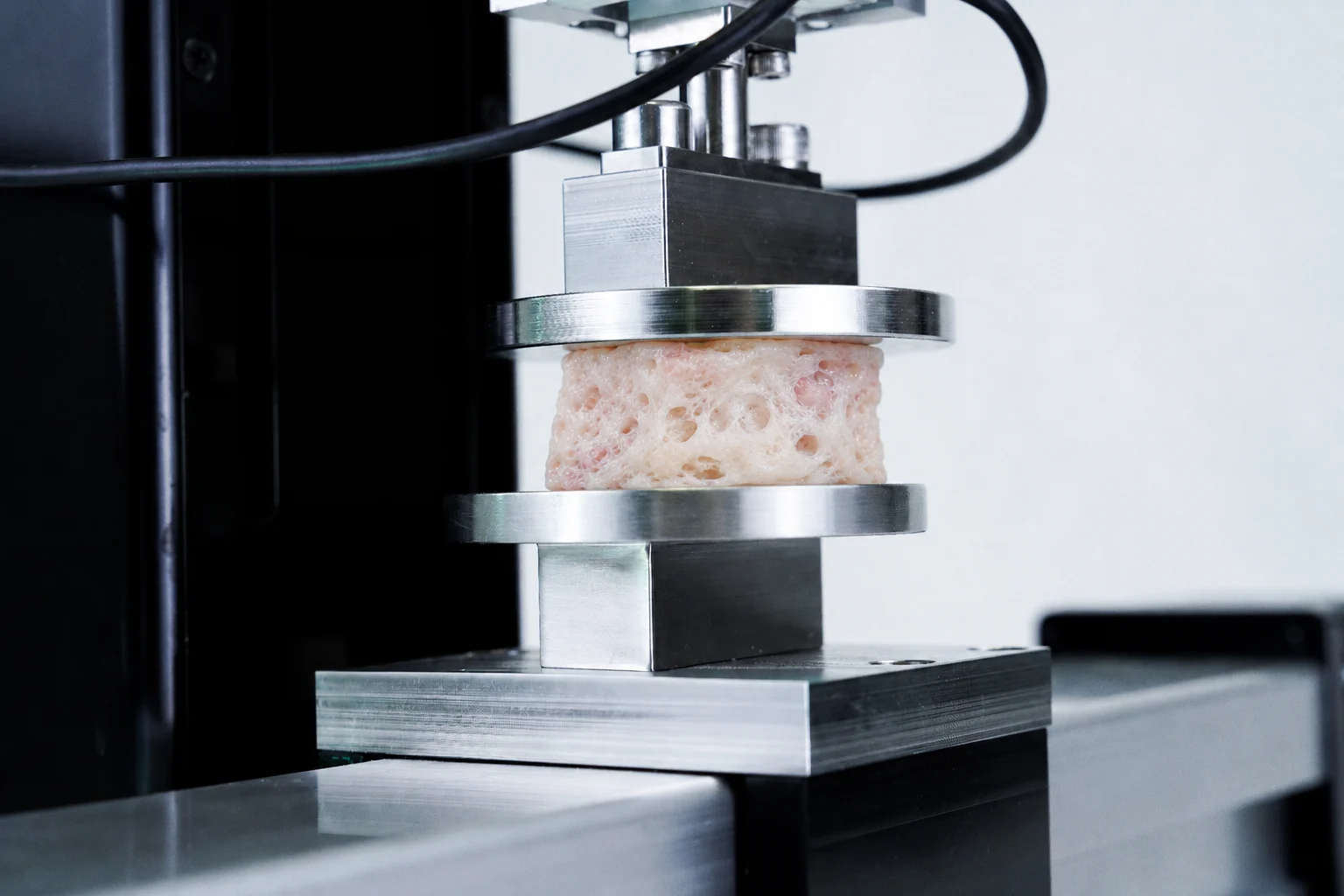 An antifibrotic tissue model being shear tested on the UniVert for tissue fibrosis mechanics research