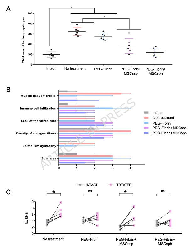 Morphometric and mechanical testing results for rabbit vocal fold regeneration, including lamina propria thickness, histological scoring, and Young’s modulus measured by indentation.