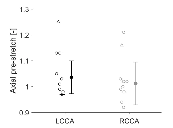 Plot comparing axial pre-stretch in left and right human common carotid arteries, with the young donor above most older donor samples.
