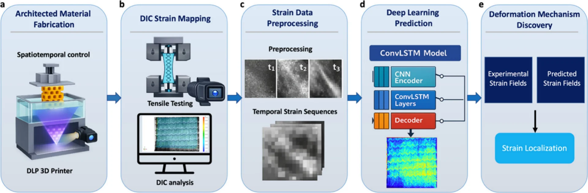 Hydrogel tensile testing workflow with digital image correlation and machine learning prediction of strain localization.