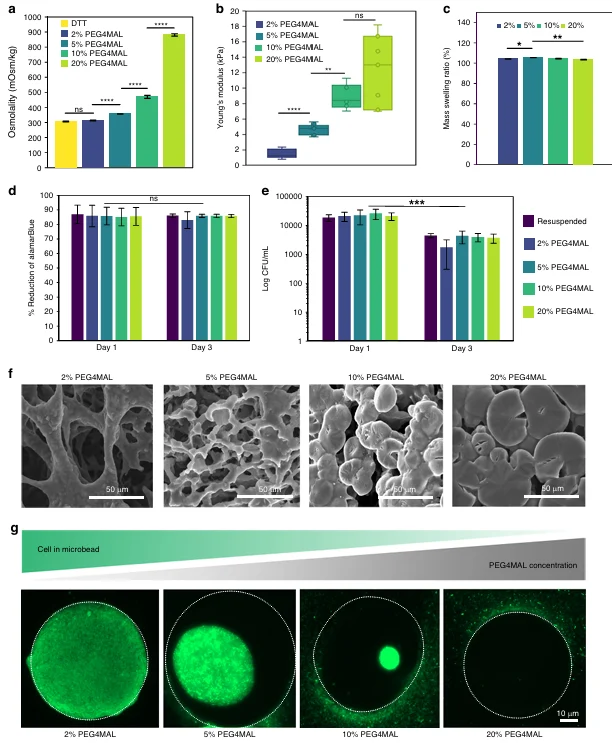 Hydrogel stiffness and bacterial growth across 2%, 5%, 10%, and 20% PEG4MAL microbeads, including Young's modulus, swelling, microstructure, and E. coli distribution.