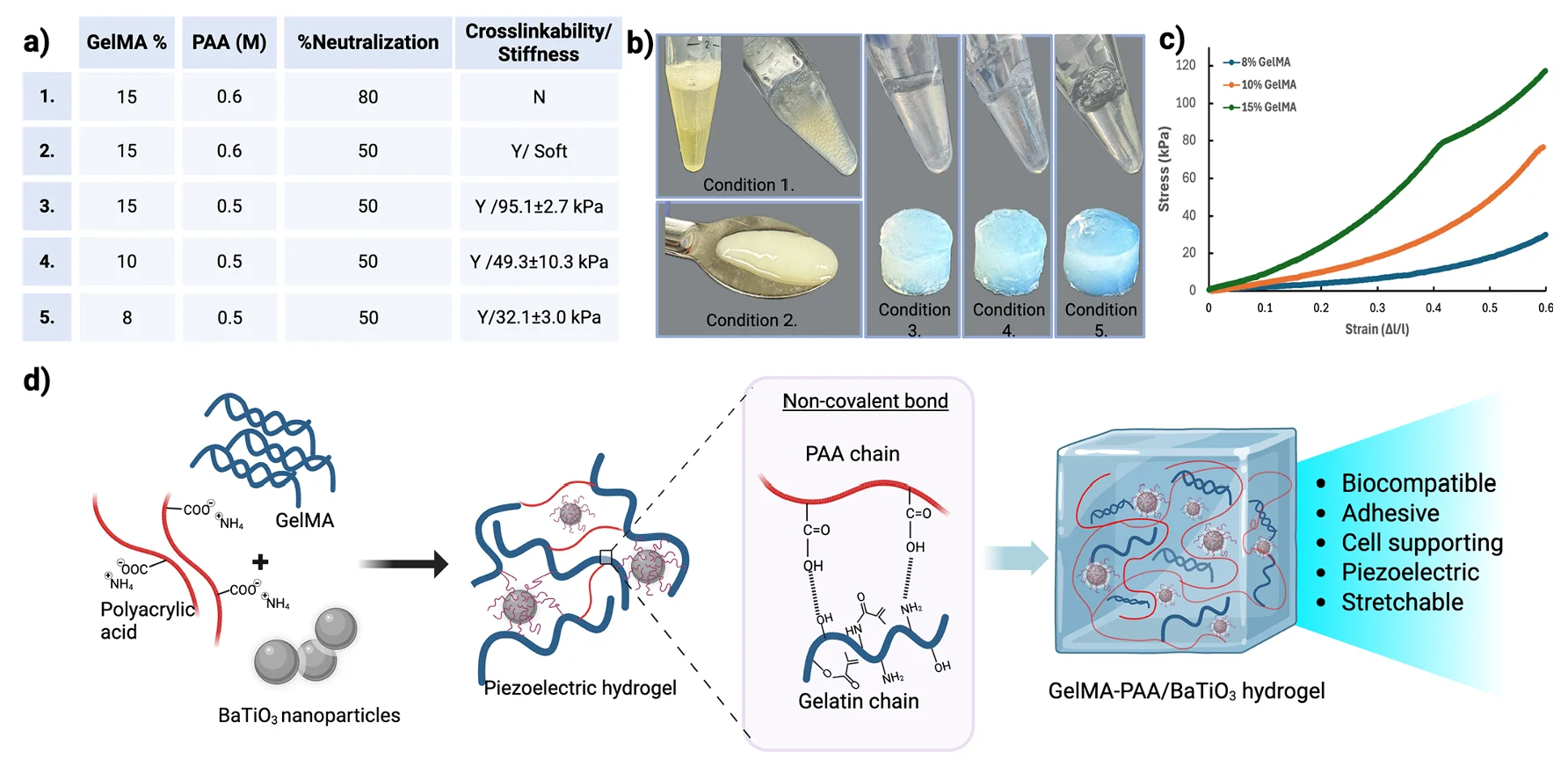 GelMA-PAA hydrogel formulations showing stiffness values, stress-strain curves, and BTO nanoparticle incorporation.