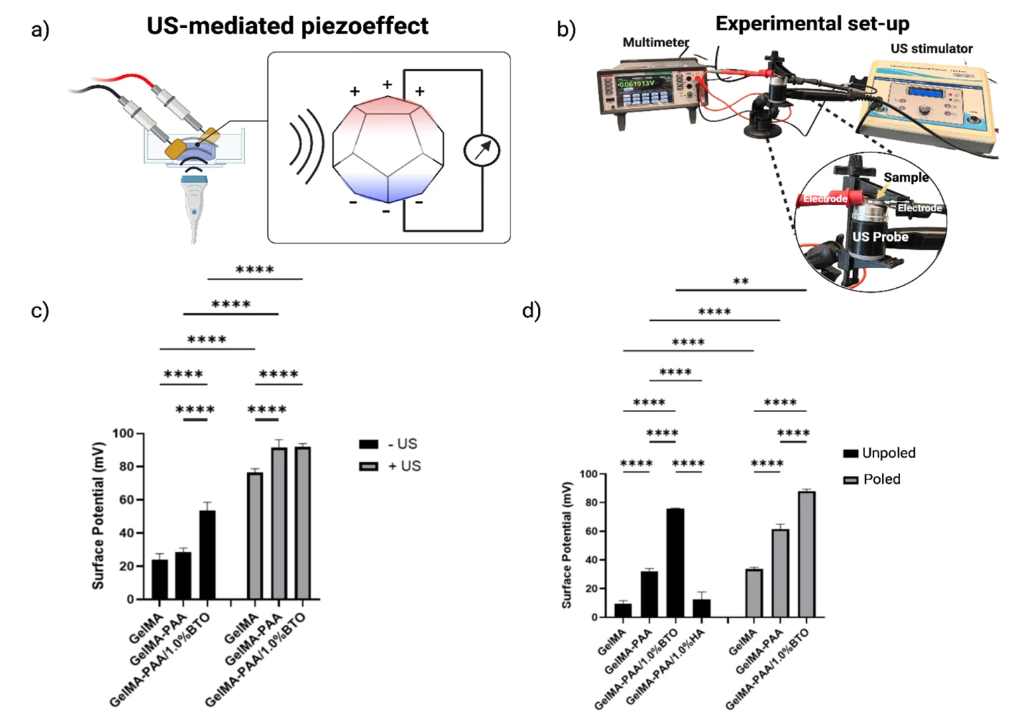 Ultrasound setup and surface potential measurements for hydrated and lyophilized GelMA-PAA/BTO hydrogel platforms.