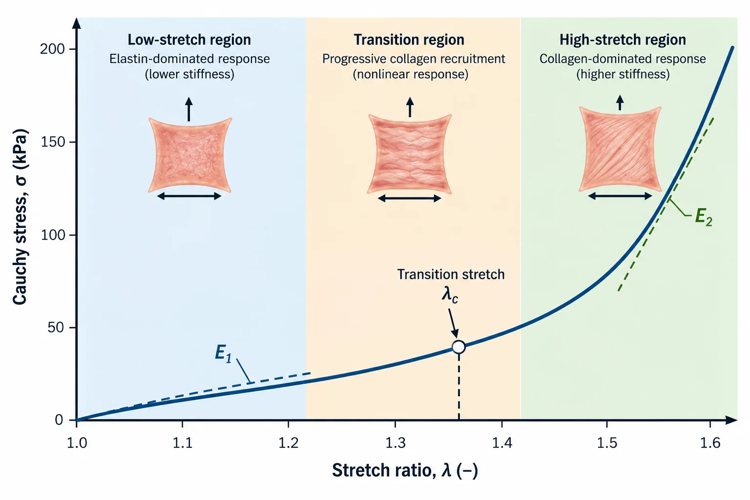 Nonlinear arterial stress-stretch curve showing low-stretch stiffness, transition stretch, and high-stretch stiffness.