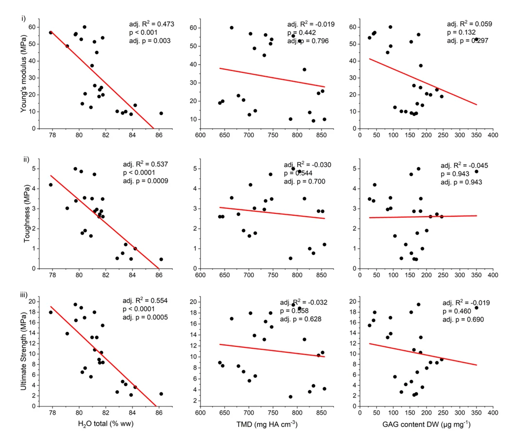 Relationships between water content, mineral density, GAG content and cartilage stiffness, toughness and ultimate strength in four devil ray species.